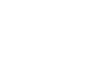 Logo Alvos NG